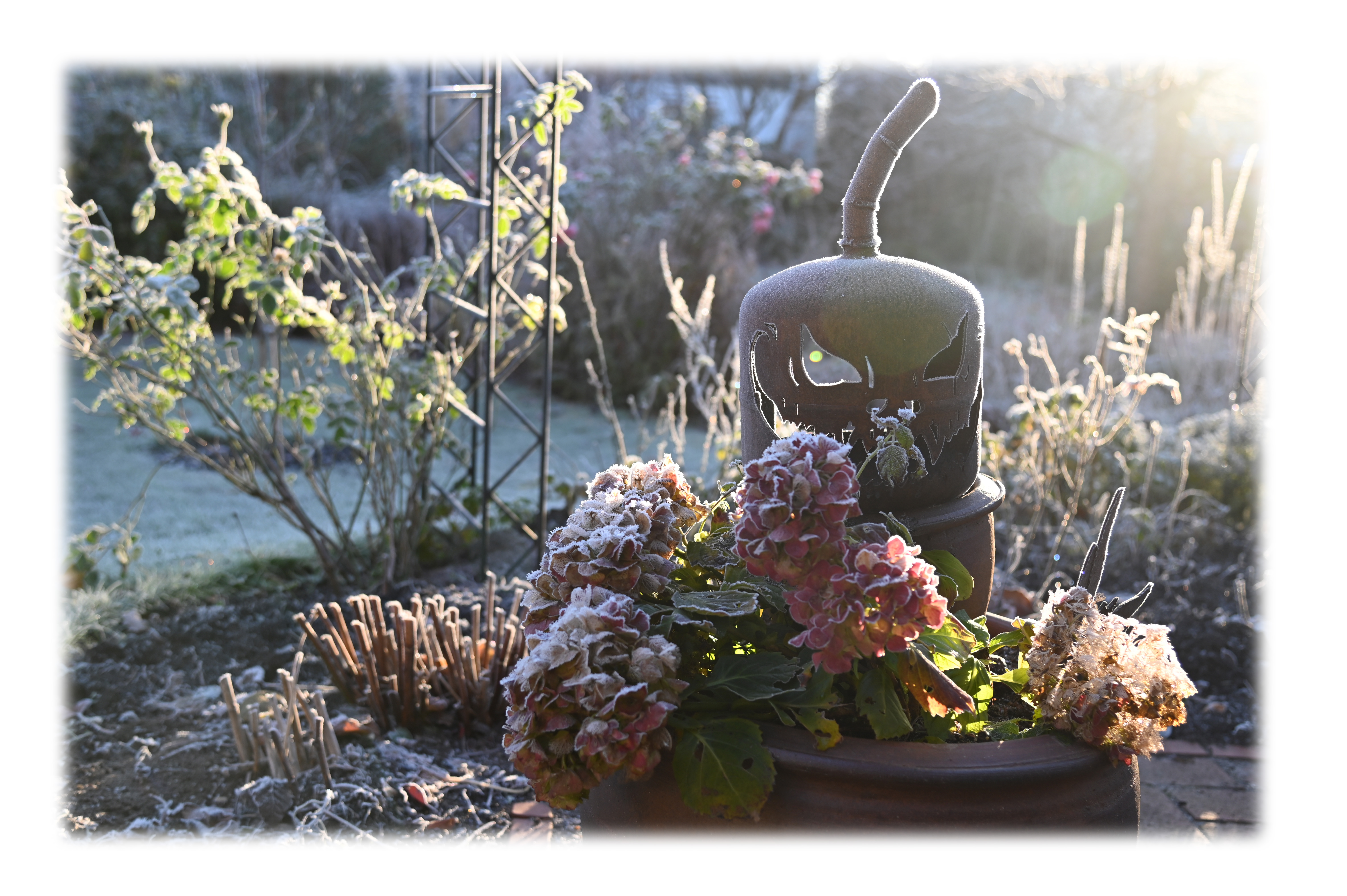 Appartements AM ROSENGARTEN Appartements AM ROSENGARTEN