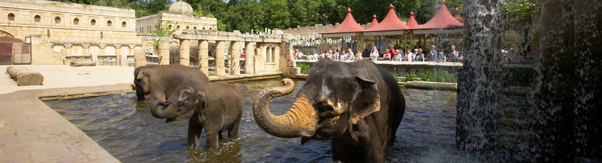 Zoo Hannover